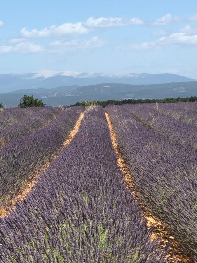 Provence Luberon Bonnieux Location Gite Chez Basile Extérieur photo